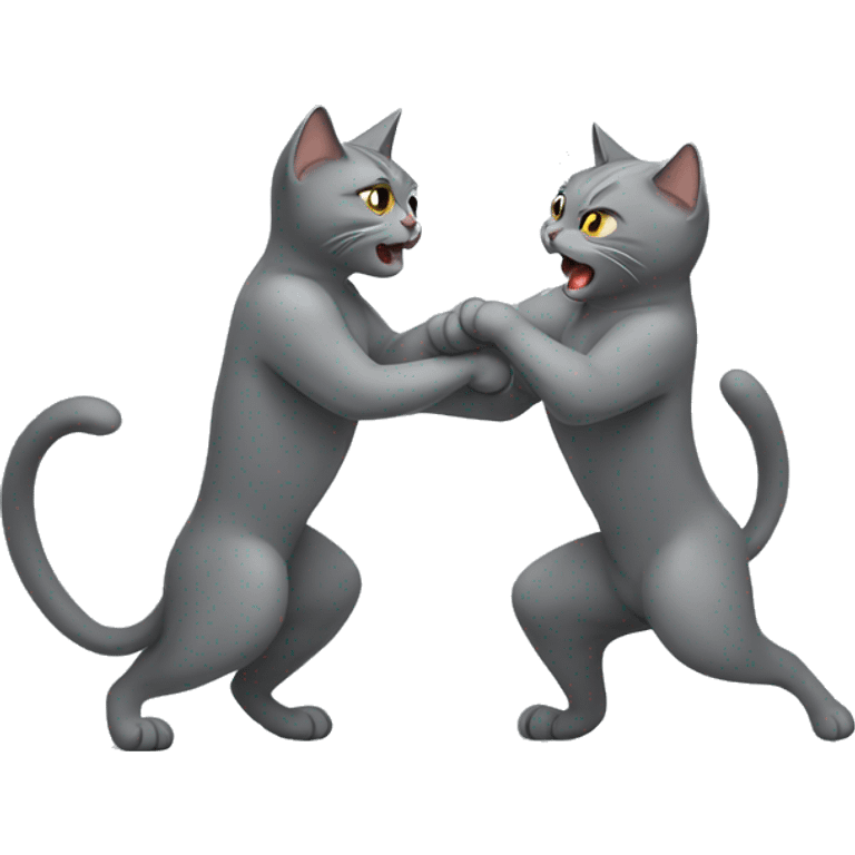 Two gray cats fighting emoji