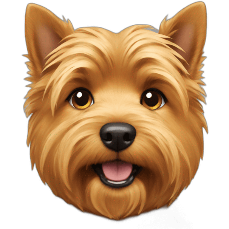 Norwich terrier eating dog food emoji