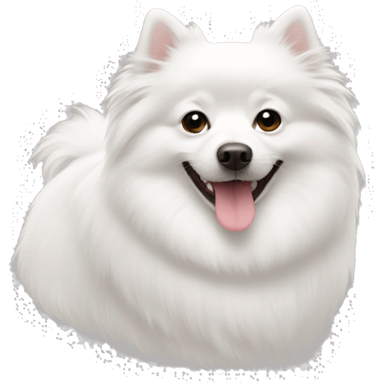 white german spitz emoji