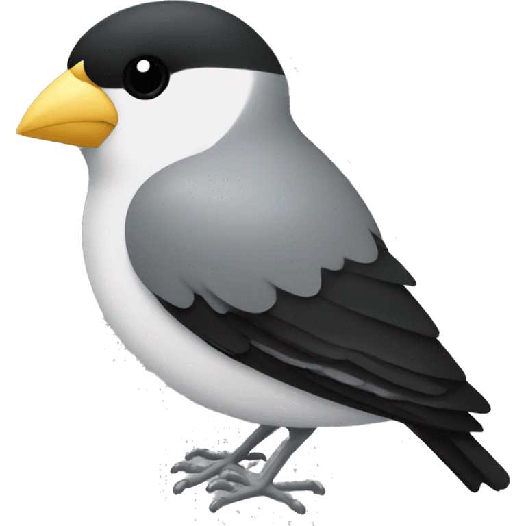 A finch with a white chest that has 2 black horizontal lines on it, black back of body, a silver beak and silver feet, with black eyes emoji