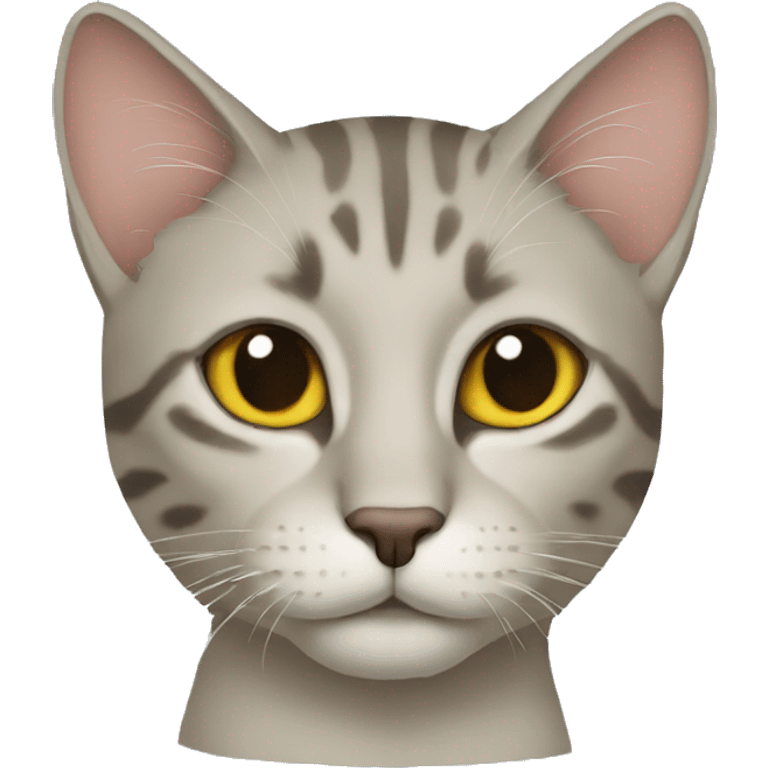 Gato emoji