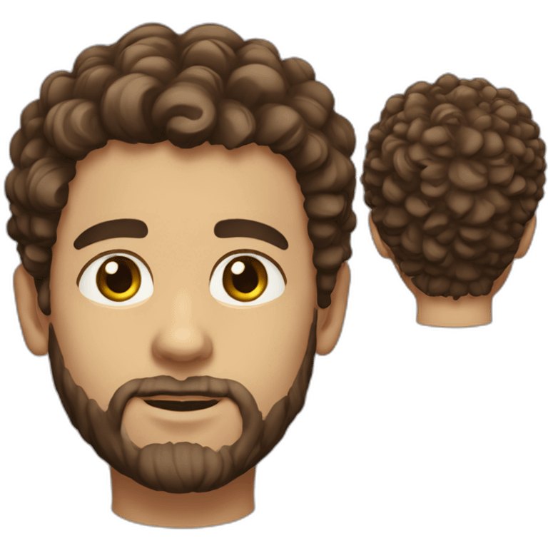 White boy, brown eyes, curly and brown hair on the top and short on the sides, and beard emoji