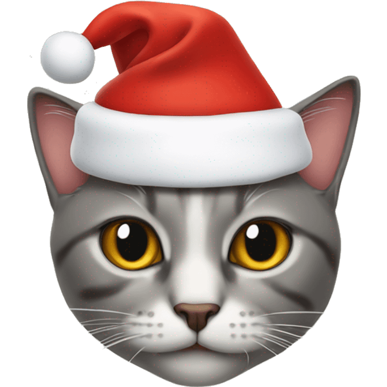 cat wearing santa hat emoji