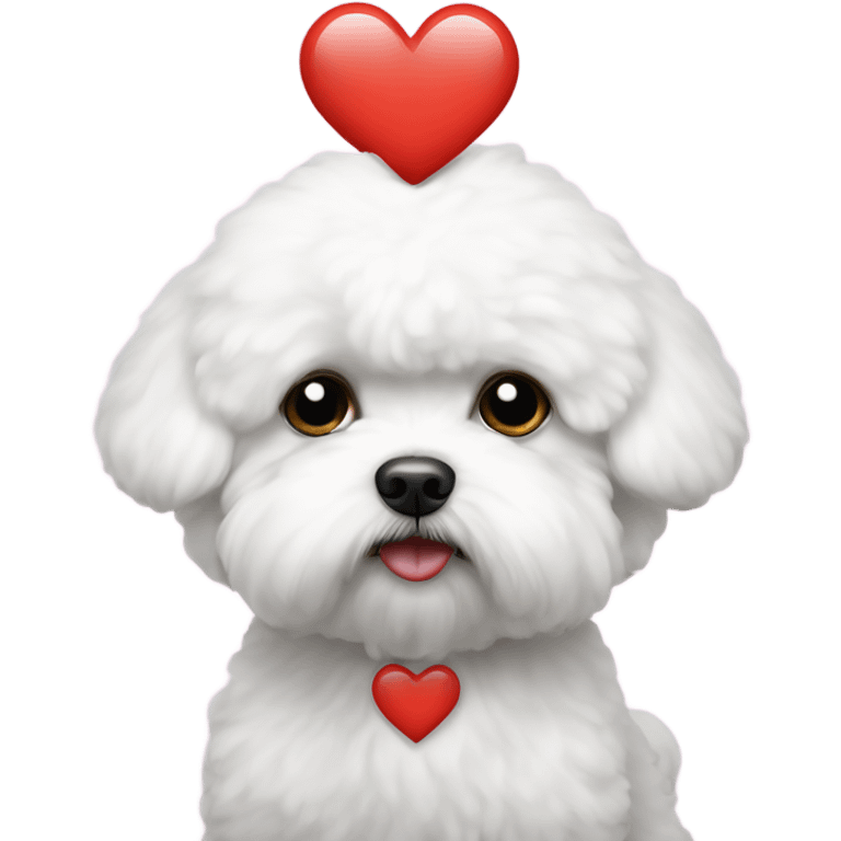 Bichon frise sad with a love heart emoji