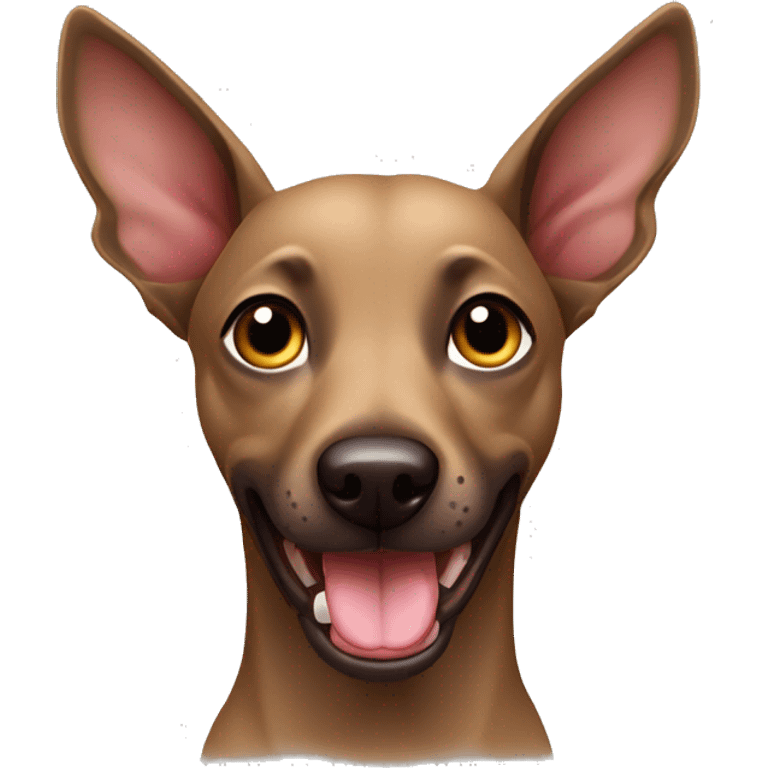 Xoloitzcuintle dog with the tongue out emoji