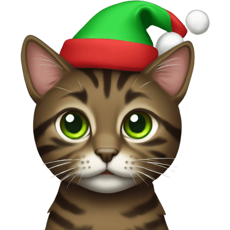 Dark brown tabby cat with green eyes wearing Christmas hat emoji