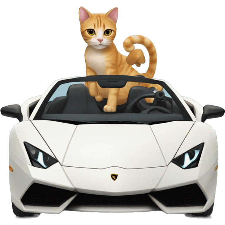 Cat driving a Lamborghini  emoji