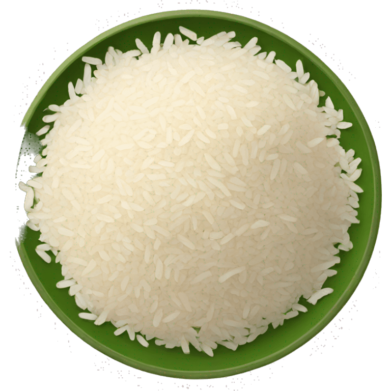 PAKISTANI RICE WITH LEG PIECE emoji