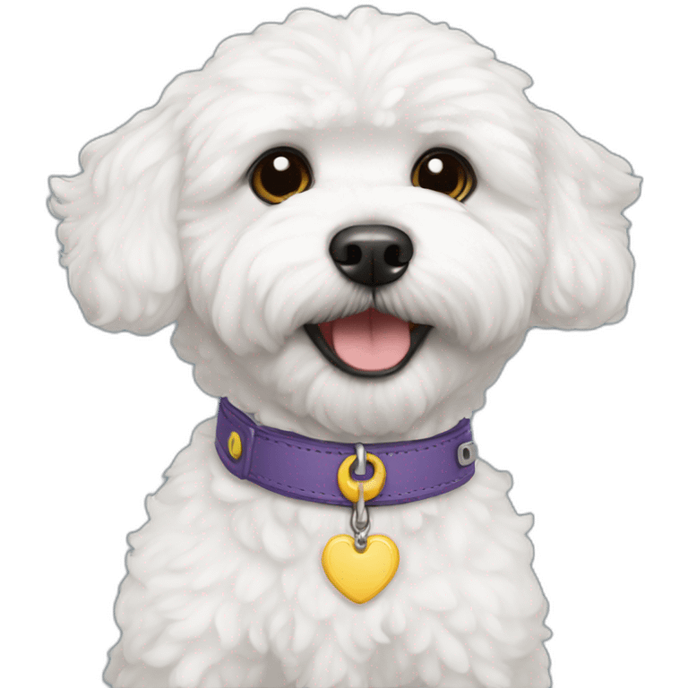 a white maltipoo with a collar named Lloyd emoji