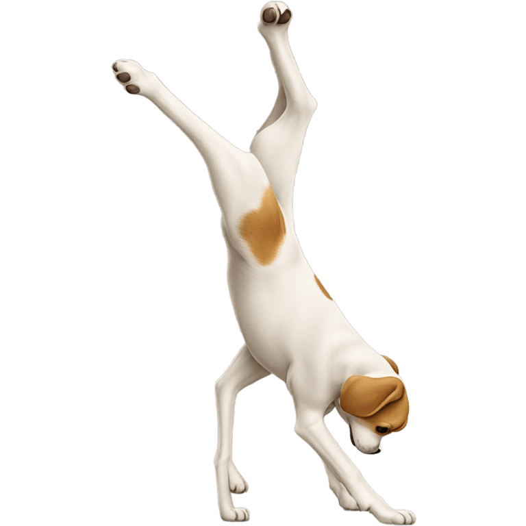 Dog doing a handstand  emoji