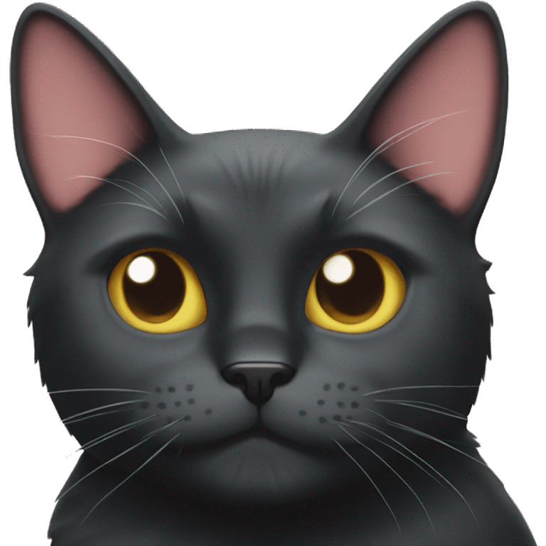 Black cat with pew pew  emoji