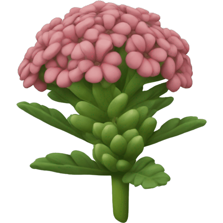 rhodiola emoji