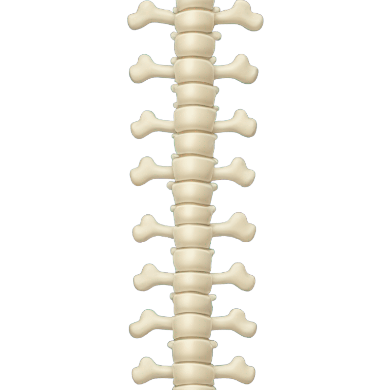 spine emoji