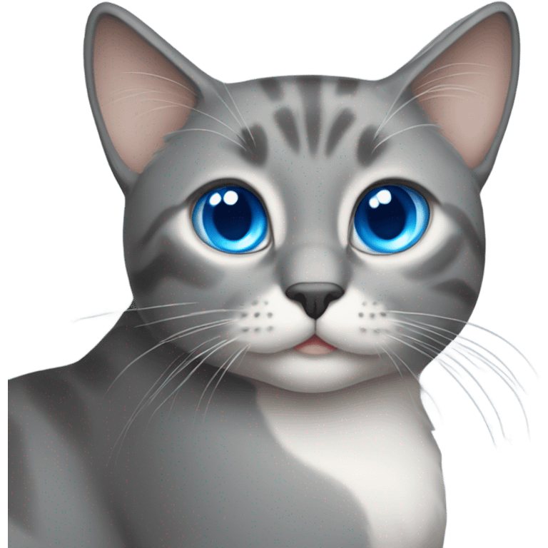 gray cat with blue eyes emoji