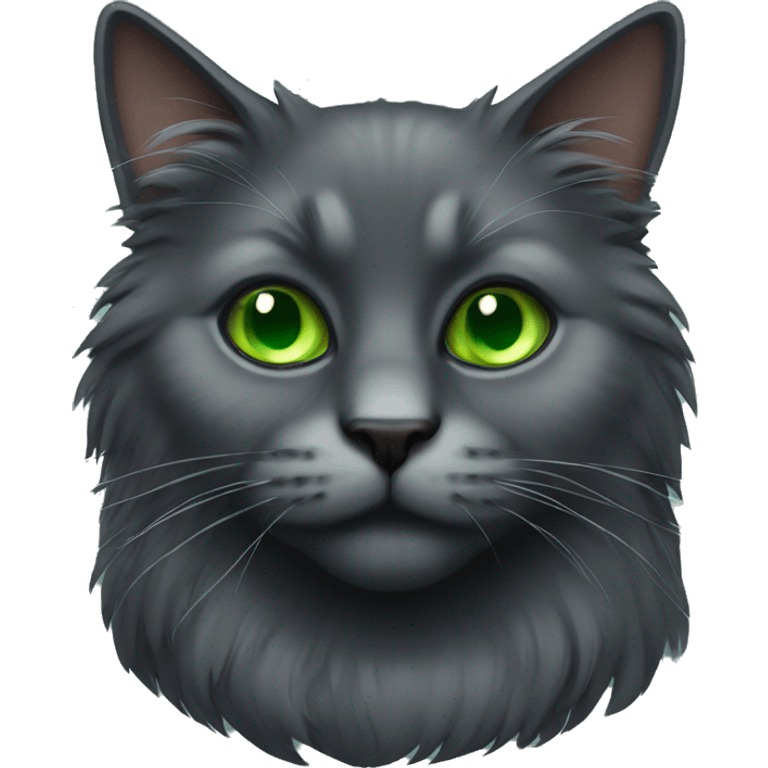 Dark grey hairy cat with green eyes emoji