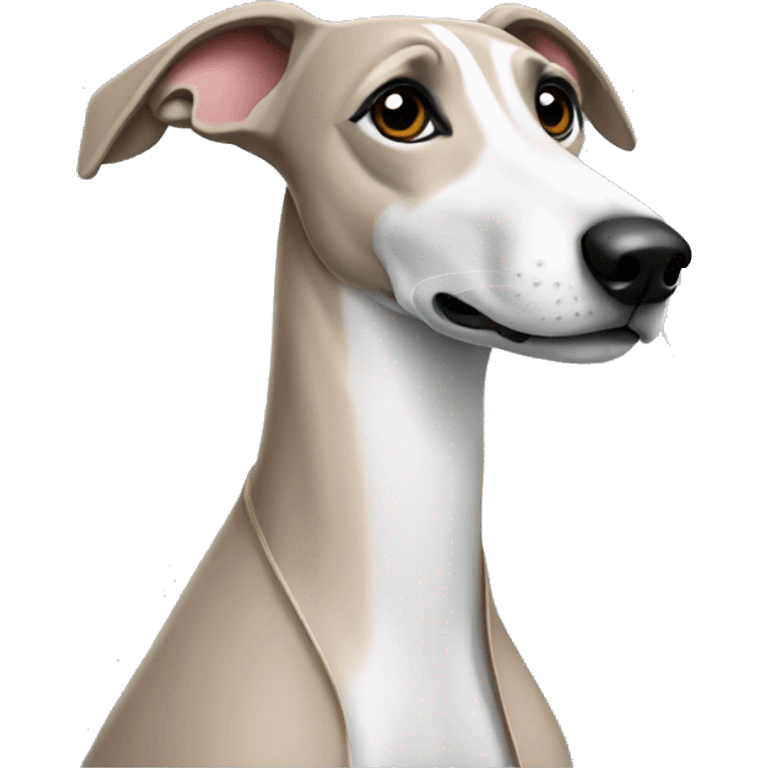 Whippet in coat emoji