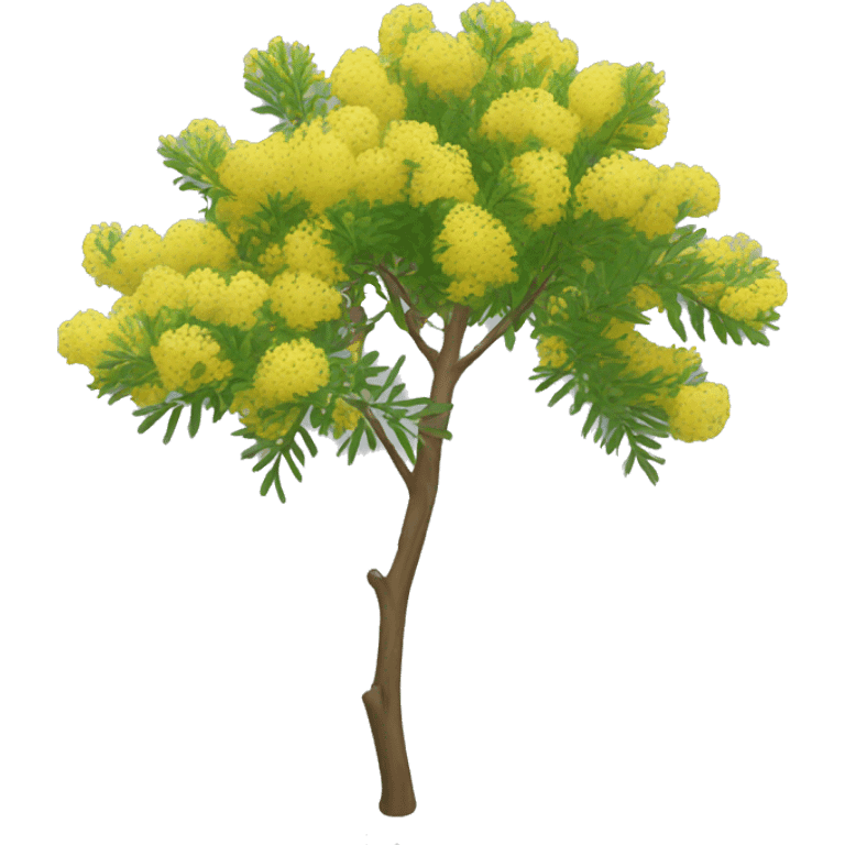 Flowering Acacia  emoji