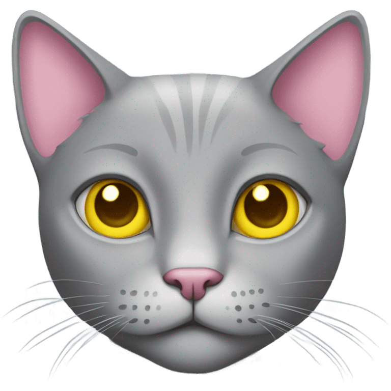 Grey cat with yellow eyes and a pink shirt emoji