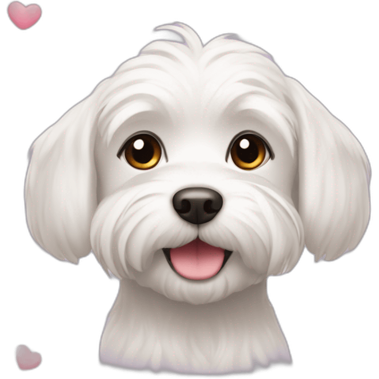  dog Maltese Face with a few hearts around her head emoji