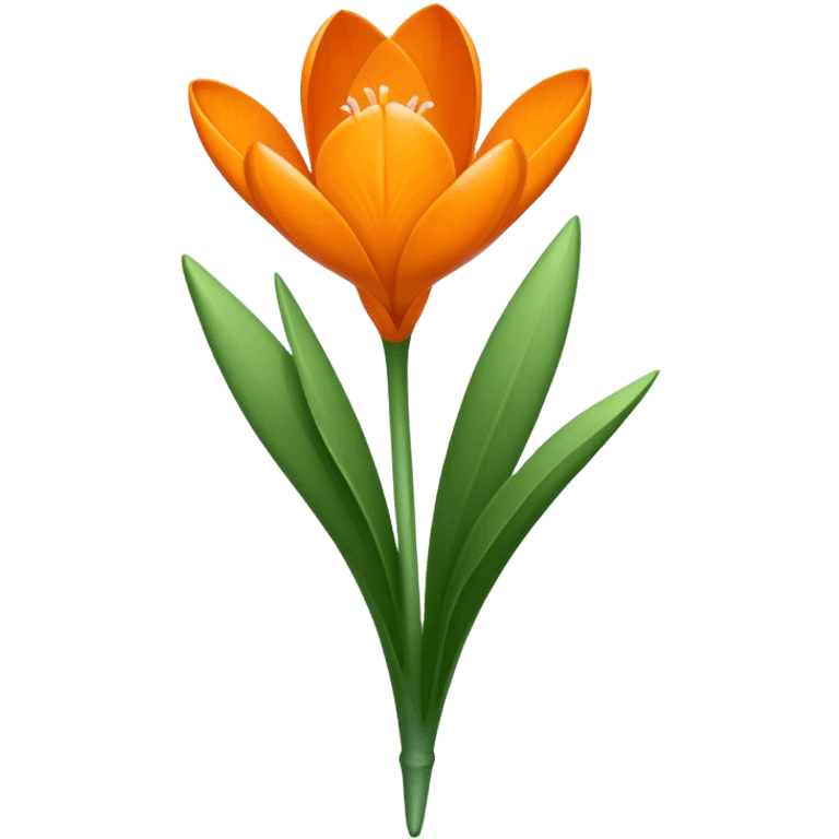 single Crocus Orange, straight stem emoji