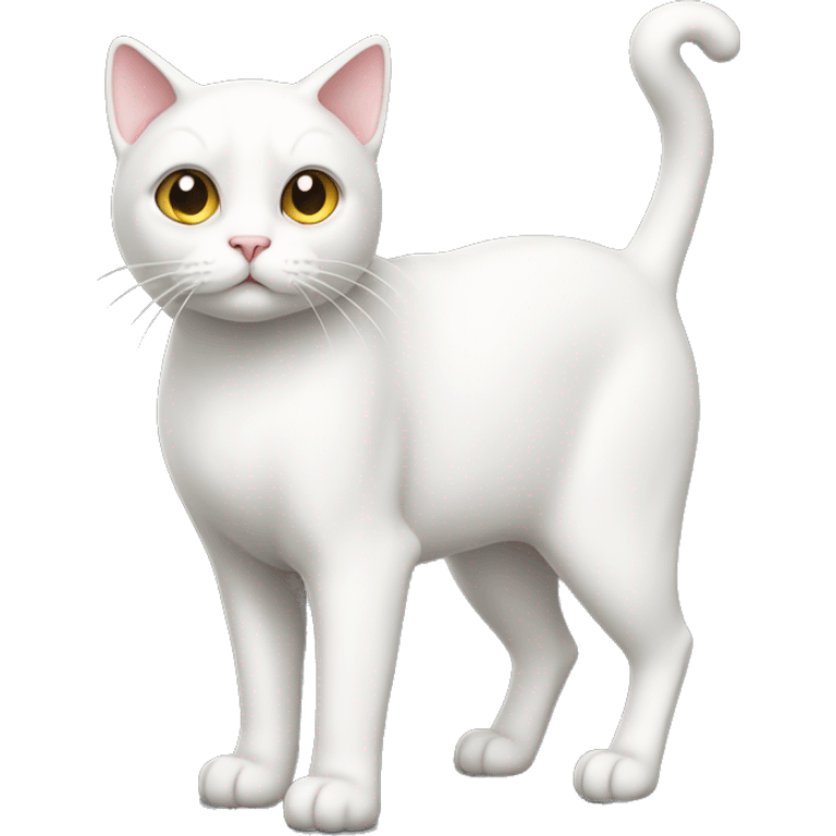 standing white cat，full body，rear view,face facing left emoji