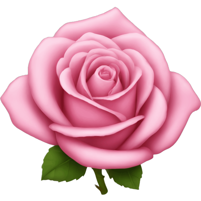 Pink rose emoji