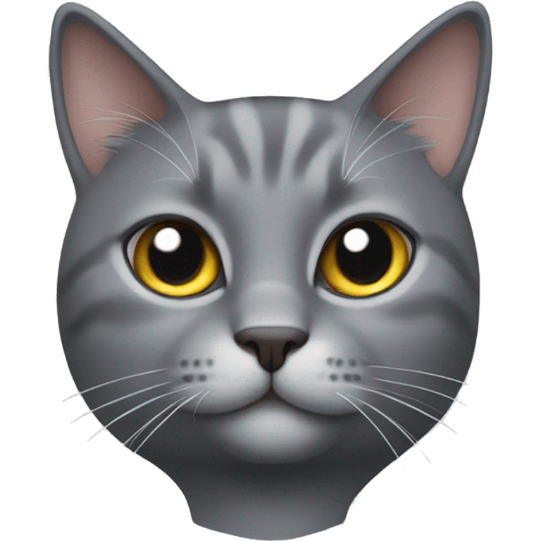 gray cat emoji