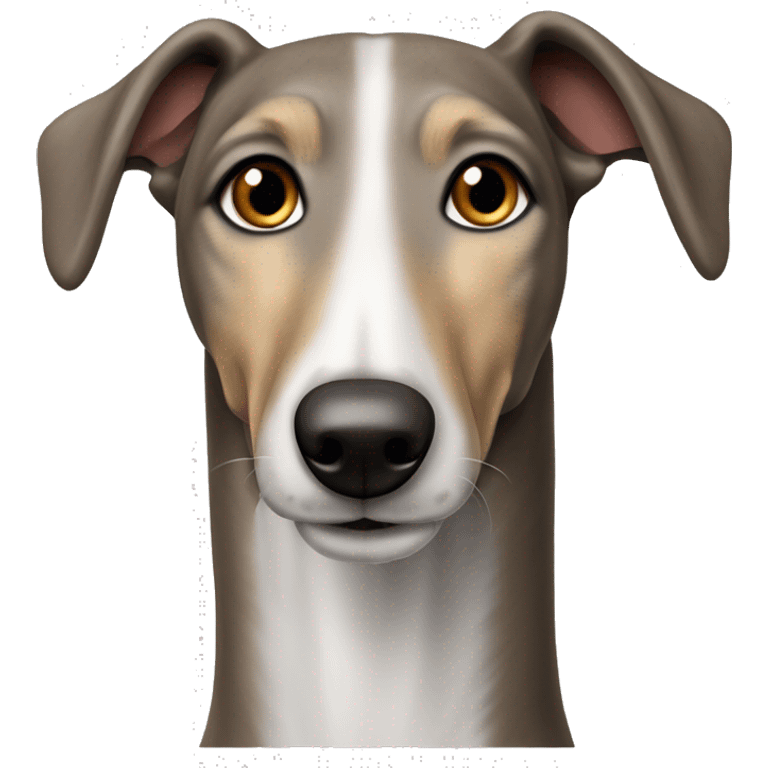 brown and white lurcher grey hound cross dog  emoji