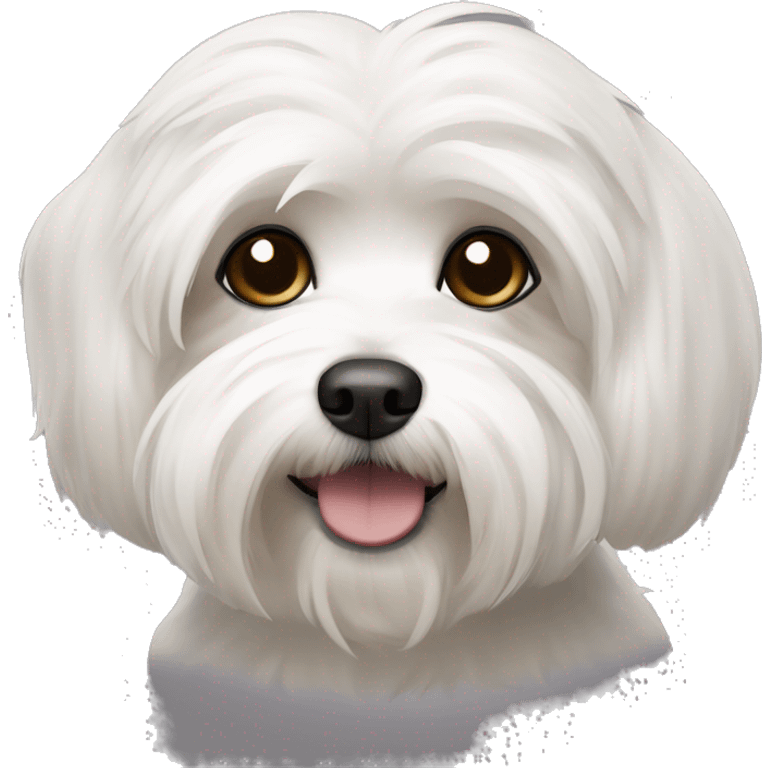 havanese dog with white eyebrows, black around the eyes and ears and white around the mouth emoji