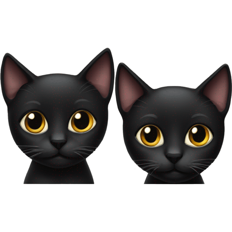 2 black cats  emoji