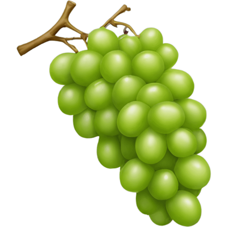 Green grapes emoji