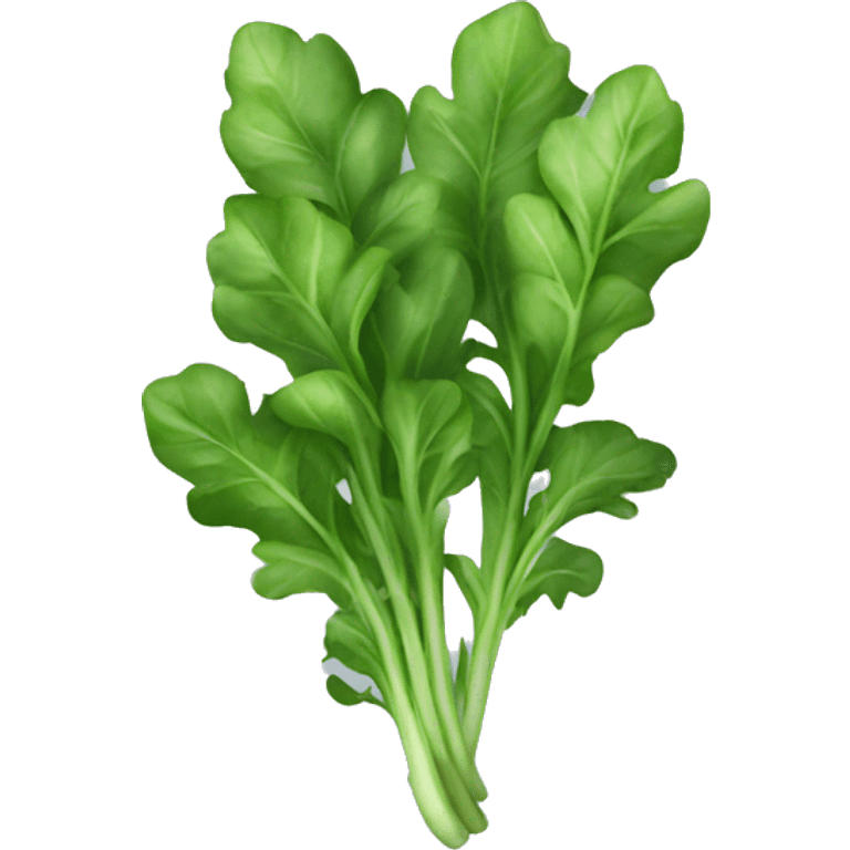 Arugula emoji