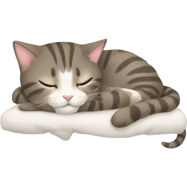 CATNAP emoji