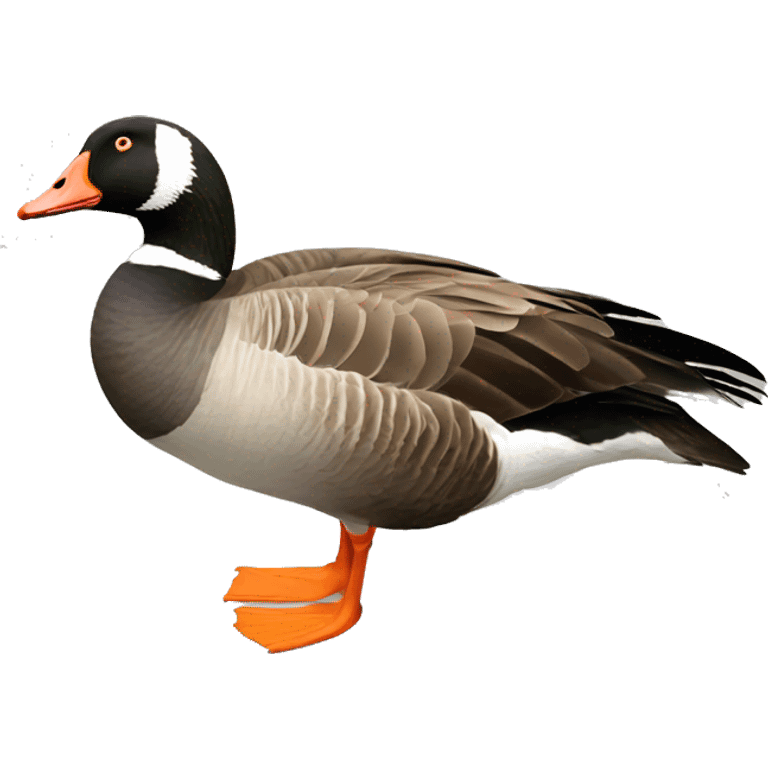 White fronted goose emoji