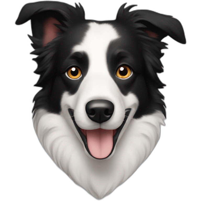 border collie with one black eye emoji