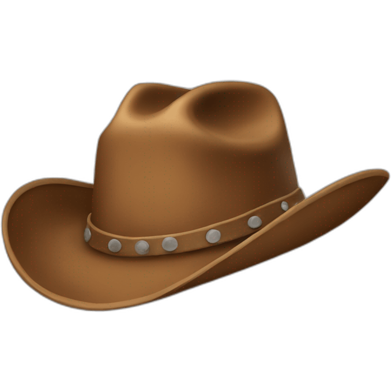 cowboy hat wearing a cowboy hat emoji