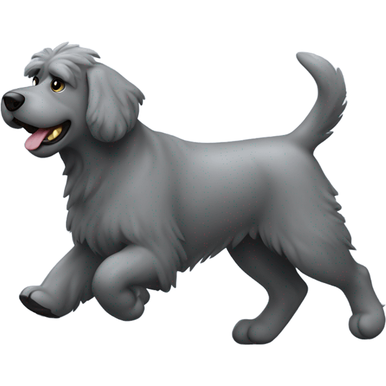 Gray Bouvier des Flanders with a docked tail and cropped ears running toward me emoji