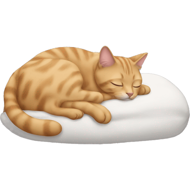 Taby cat sleeping emoji