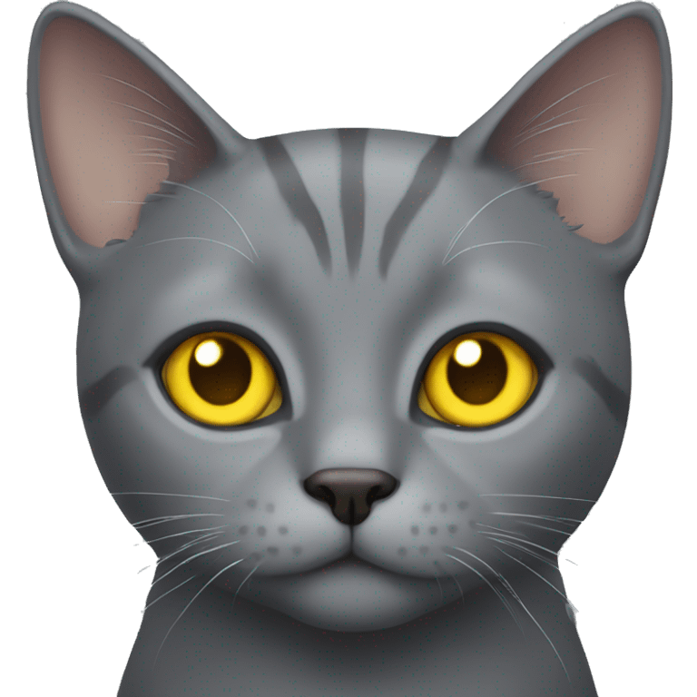 Grey cat with yellow eyes  emoji