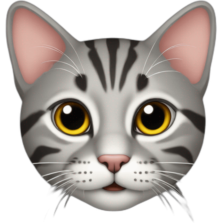 gray tabby cat 512x512 emoji