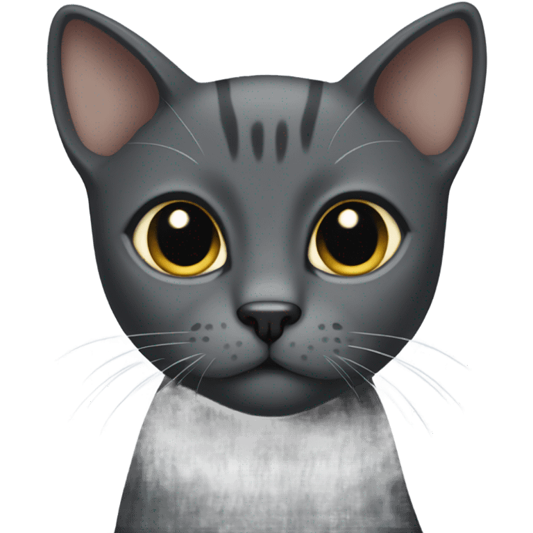 Dark grey cat shorthair emoji