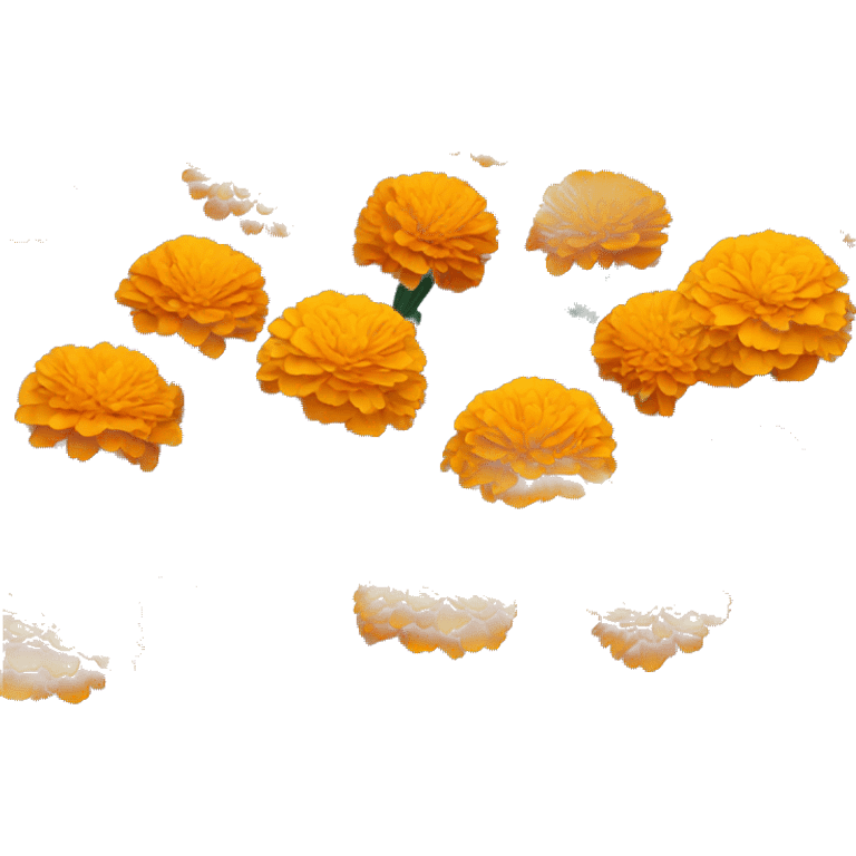 Marigolds emoji