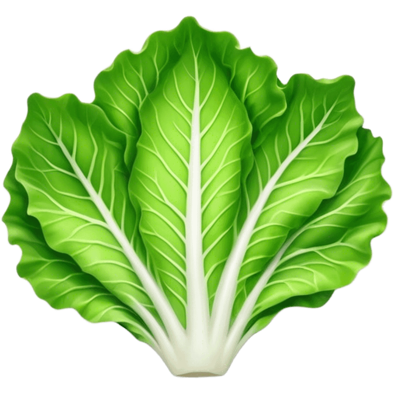 single lettuce leaf on a plate emoji