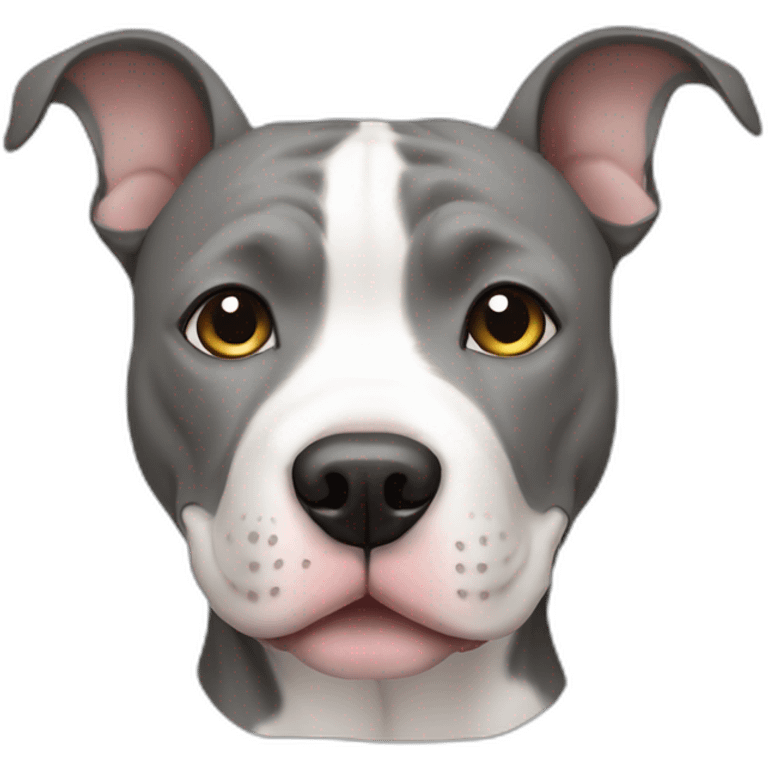 grey and white pitbull emoji