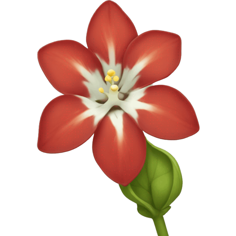 Scarlet pimpernel flower emoji