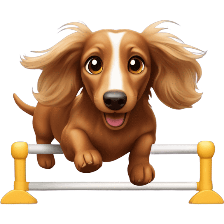 Longhaired dachs with light Brown eyes and Brown nose jumping agility emoji