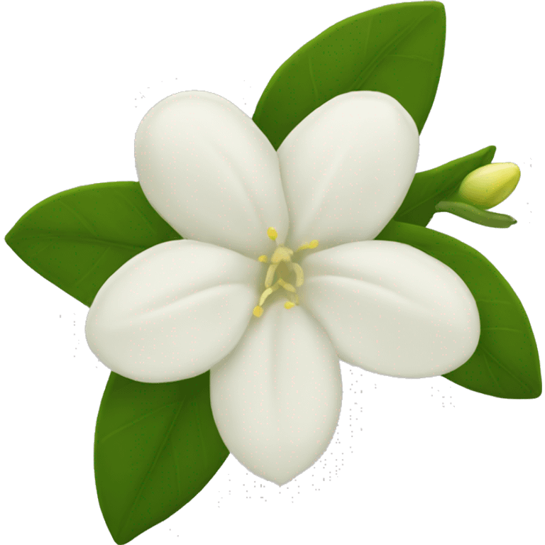 Night Jasmine flower emoji