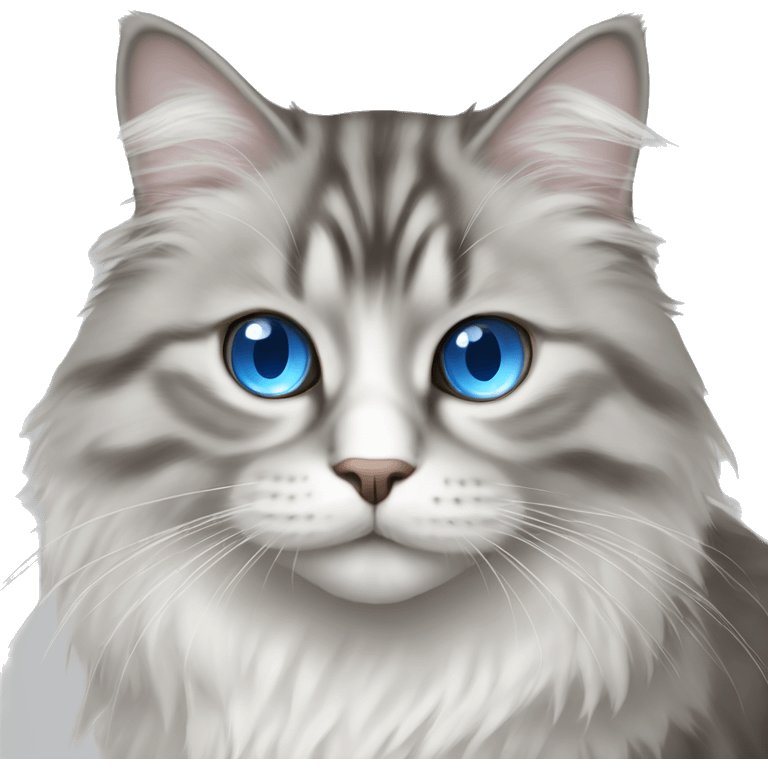 A gray and white Siberian cat with blue eyes  emoji