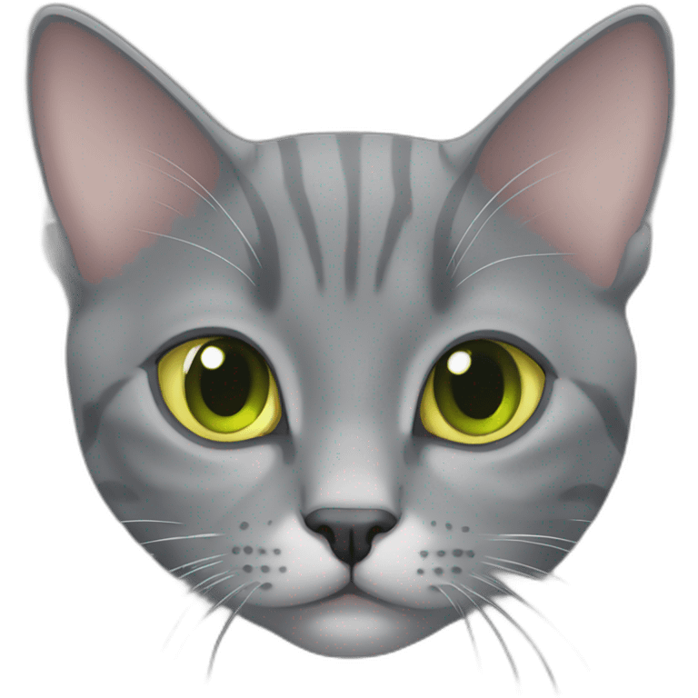 fully grey american short hair cat cute yellowgreen eyes emoji