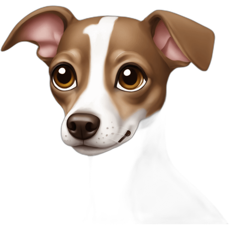 Brown and white chihuahuaItalian greyhound emoji